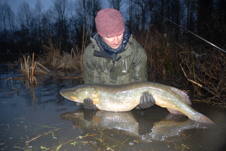 John Gilman cradles an upper 20lb from a Wensum Pit