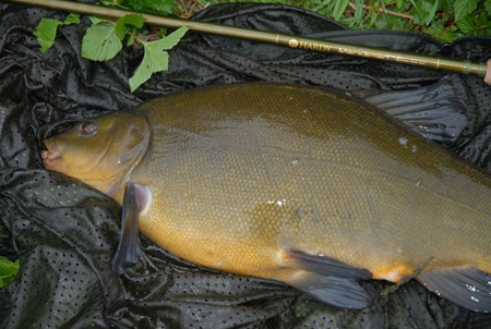 One of the first 9lb of the season