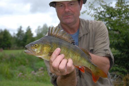 Great friend Ian Jackson with a cracking Kingi Pertch